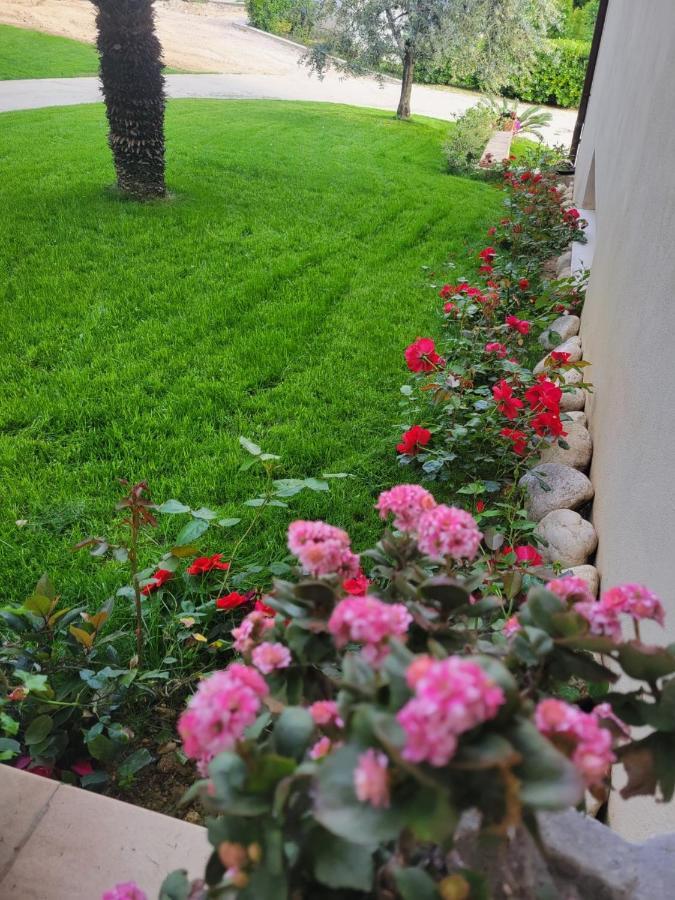 Casale Angela Apartment Torrevecchia Teatina Exterior photo